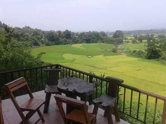 Samsung pics 545 resize