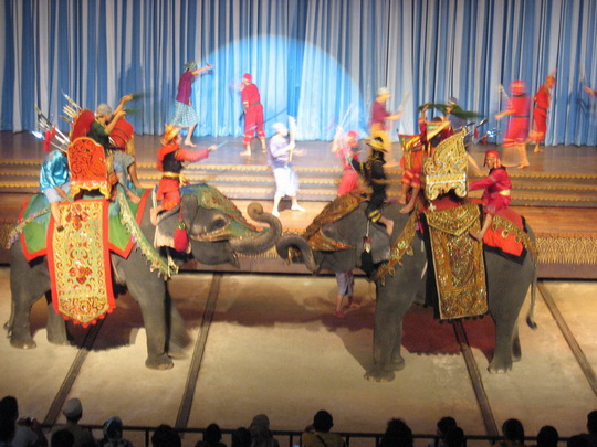 Elephant show resize