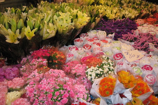 Pak klong talad resize