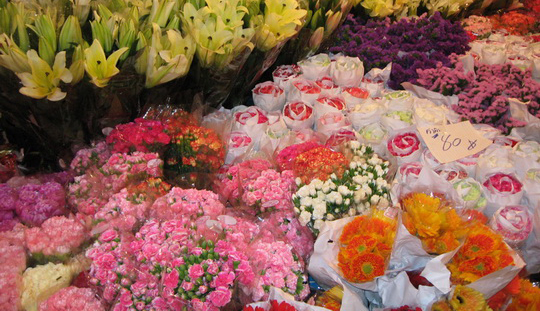 Pakklongtalad resize